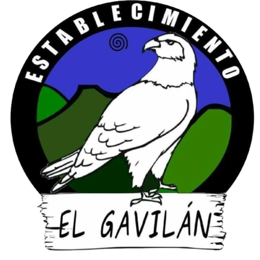 Quebrada del Gavilán - El Gavilan - Valle del Lunarejo